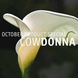 OCTOBER PRODUCT SPECIAL.