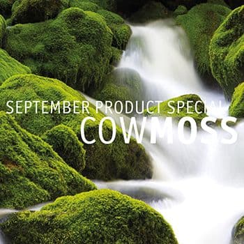 SEPTEMBER PRODUCT SPECIAL.