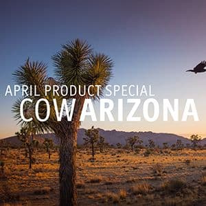 APRIL PRODUCT SPECIAL.